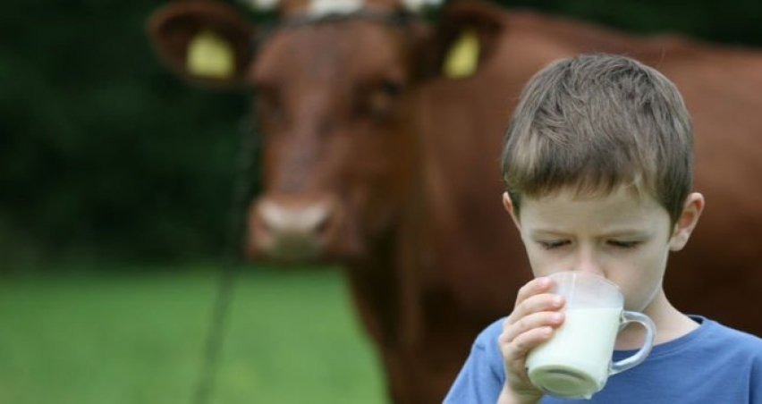 SÜT ÜRETİCİSİNİN BEKLENTİSİ 2 TL