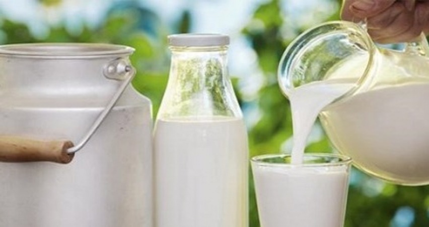 ÇİĞ SÜT DESTEĞİ KARARI RESMİ GAZETE DE YAYINLANDI