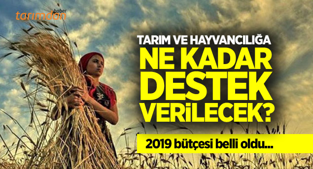 2019 YILI TARIM VE HAYVANCILIK DESTEKLEME BÜTÇESİ BELLİ OLDU