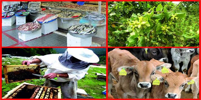 HAYVANCILIK DESTEKLEME TEBLİĞİ YAYINLANDI