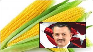 TMO MISIRA MÜDAHALE EDECEK