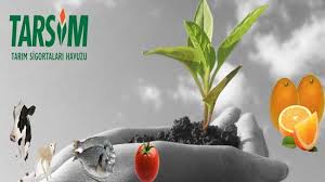 TARSİM'DEN HASAR ÖDEMELERİNE İLİŞKİN AÇIKLAMA