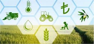 KIRSAL KALKINMA YATIRIMLARINA İLİŞKİN KARAR YAYINLANDI