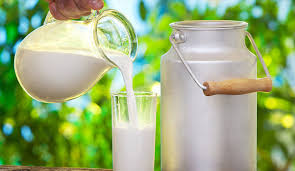 ULUSAL SÜT KONSEYİ YARIN TOPLANIYOR